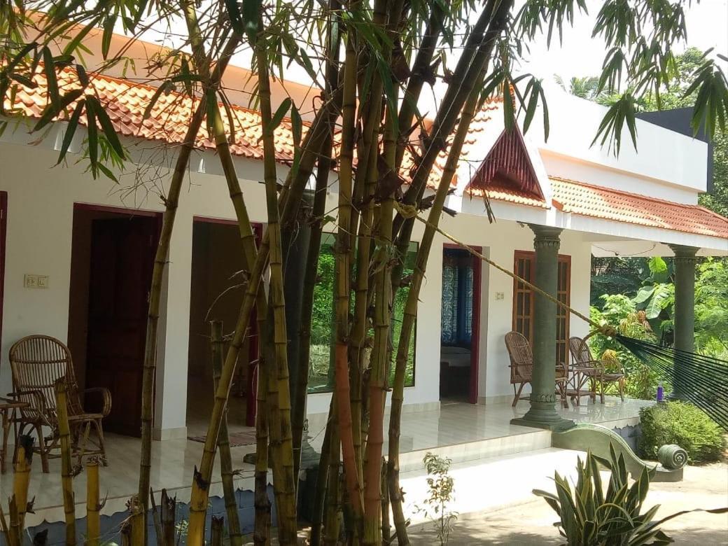 Green Garden Ayurvedic Resort & Green House Varkala Kültér fotó